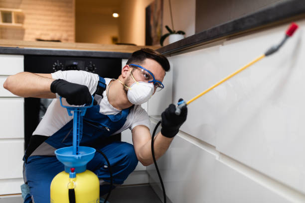 Best Pest Removal Services  in Moulton, AL