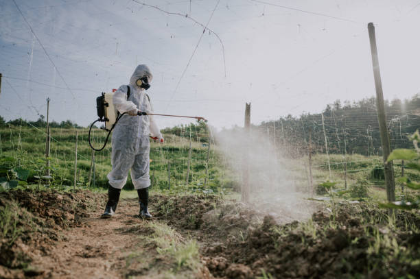 Best Local Pest Control Services  in Moulton, AL