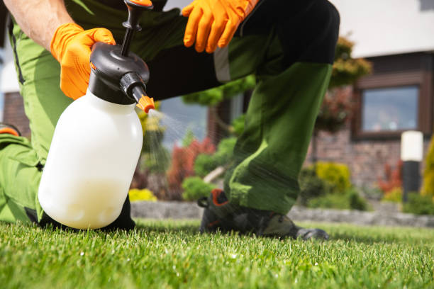 Best Rat Extermination Near Me  in Moulton, AL
