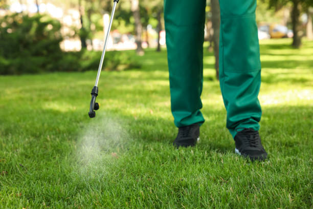 Best Emergency Pest Control  in Moulton, AL