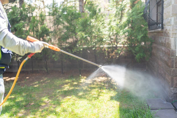 Reliable Moulton, AL Pest Control Solutions