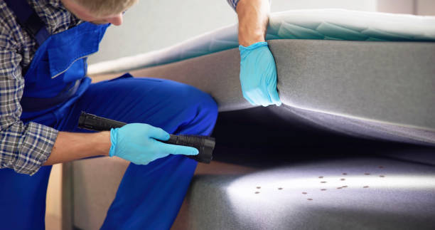 Best Ant Control Services  in Moulton, AL