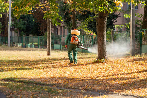 Best Cockroach Control Services  in Moulton, AL